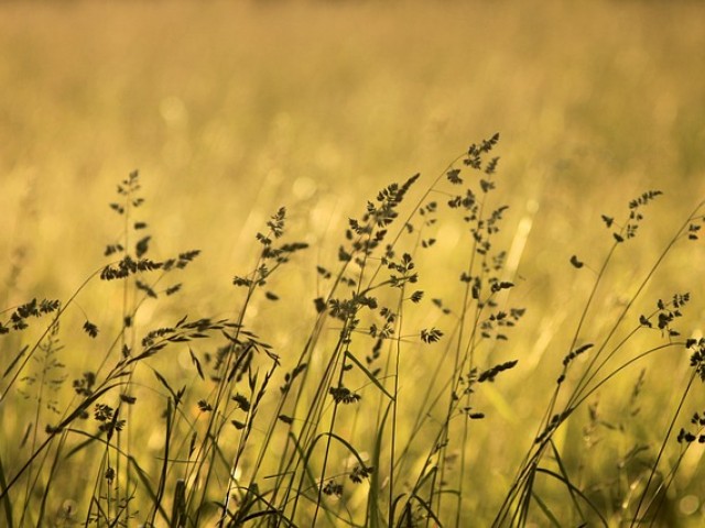 心理年龄测试,测测你的心理年龄是多少岁,心理成熟度,性格测试,趣味心理测试,心理年龄与实际年龄,情绪成熟度评估