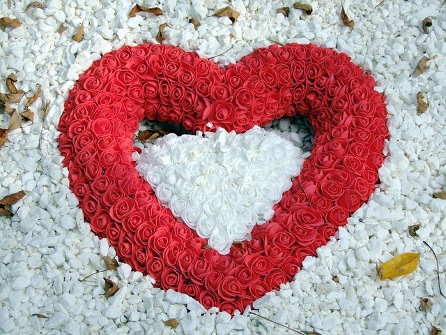 恋爱观健康吗,情感测试,恋爱心理测试,亲密关系评估,恋爱观测评,情感健康自测,恋爱态度测试