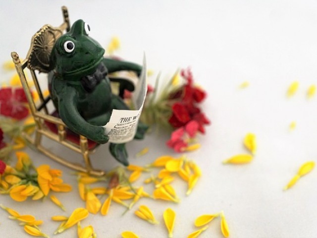 测一测你的ABO属性