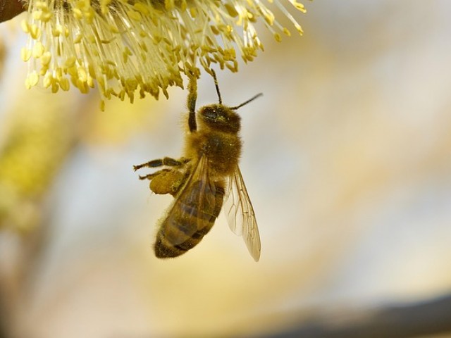 DPD依赖型人格测试