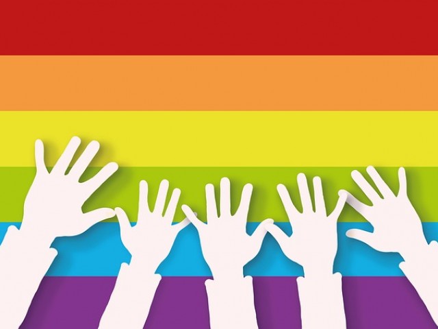 abo世界性别与信息素|性取向测试