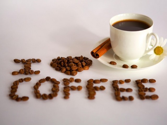 bdsm字母圈属性倾向测试