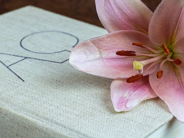 内心性别测试:ABO信息素鉴定测试