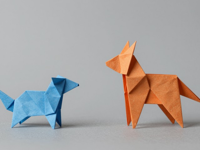 BDSM测试 - 附字母圈26个属性一览表