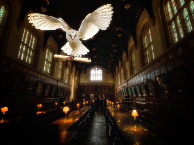 哈利波特守护神兽