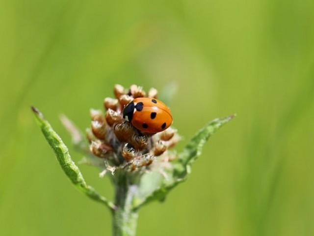 ABO性格倾向免费在线测试题