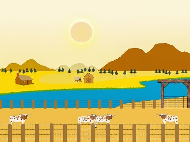 免费测试自己ABO属性