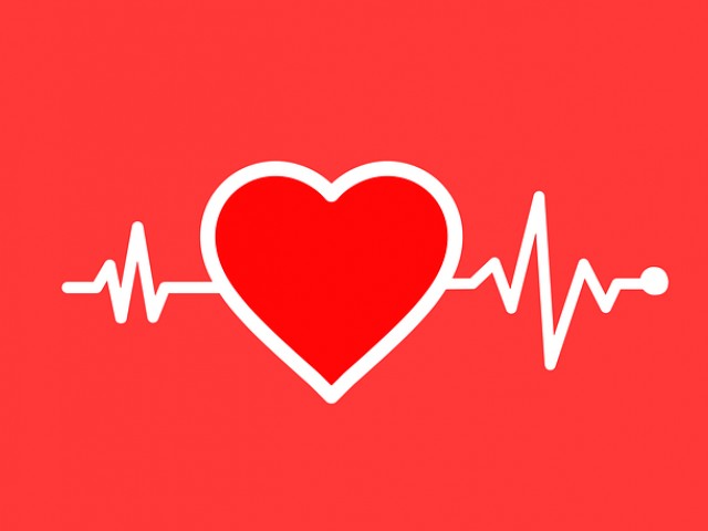 心动的信号7恋爱食物测试