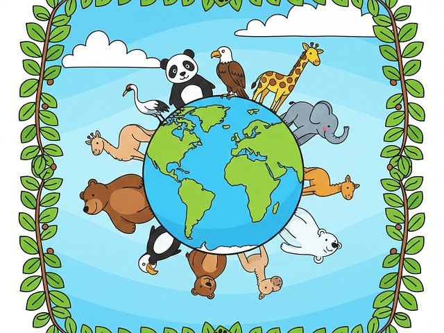 魔兽世界坐骑掉落测试