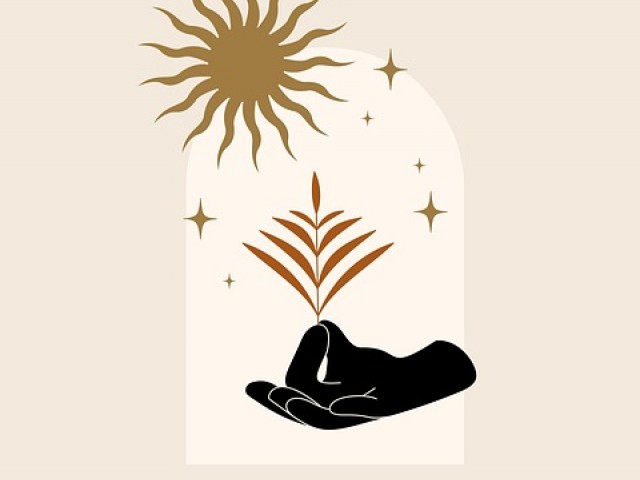 测一测你的abo性别和信息素